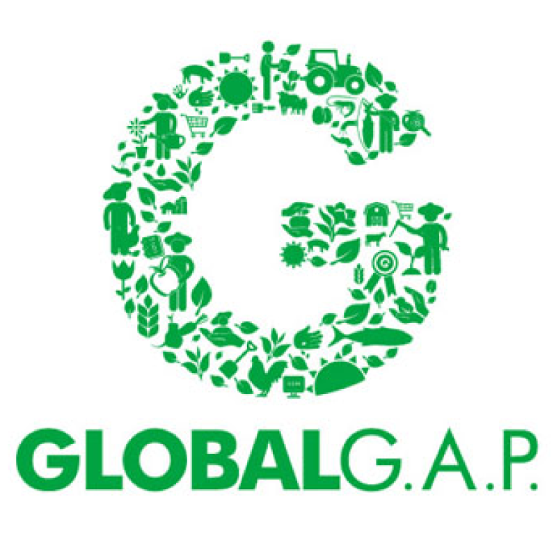 GLOBAL-GAP-TOC